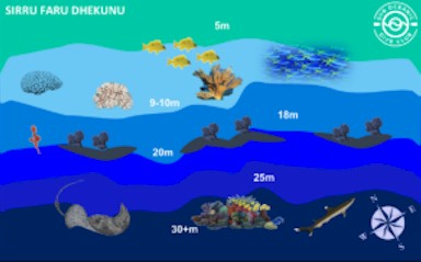 Sirru Faru Dhekunu